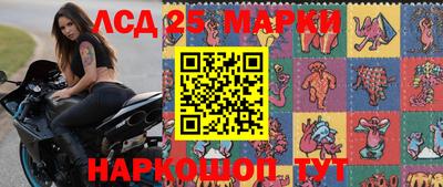 гашик Бердск