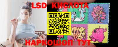 гашик Бердск