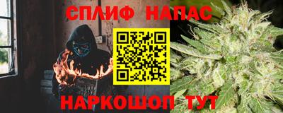 гашик Бердск