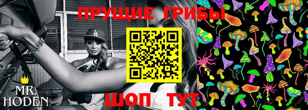 Псилоцибиновые грибы Psilocybe Аша