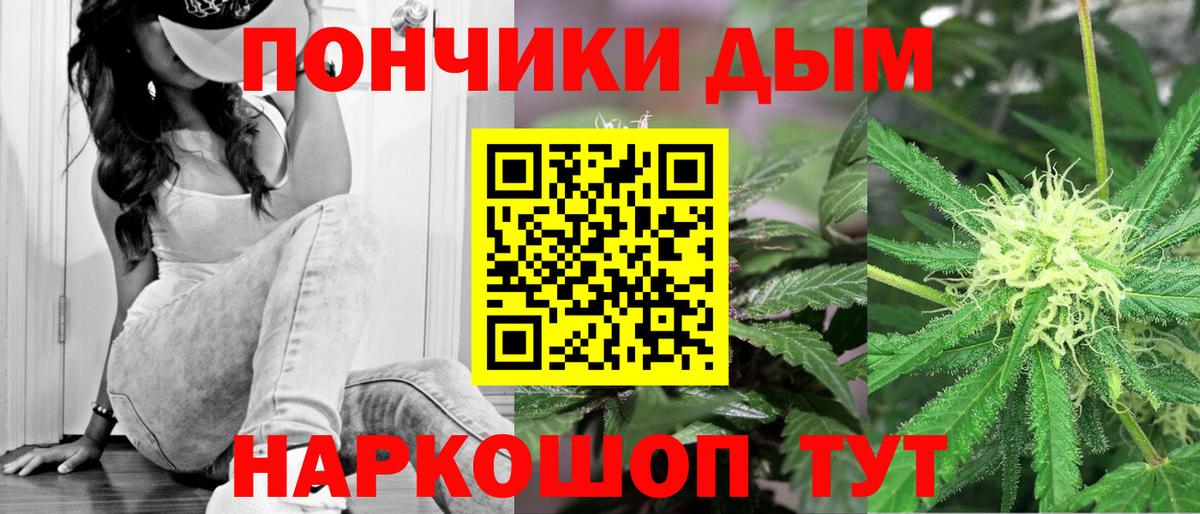 МАРИХУАНА сатива Аша